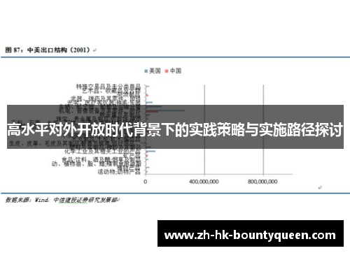 高水平对外开放时代背景下的实践策略与实施路径探讨