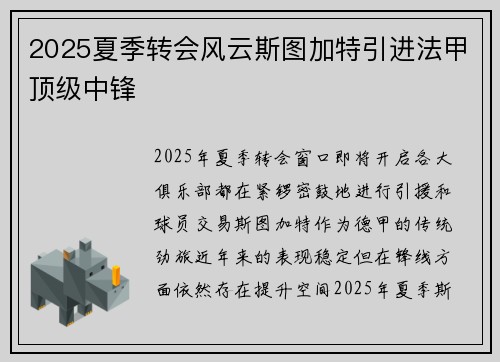 2025夏季转会风云斯图加特引进法甲顶级中锋 2025夏季转会风云斯图加特引进法甲顶级中锋